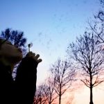 探索黑料网页版官网的最新动态与使用指南 28q31da2y4