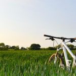 最新电影在线观看:畅享2023年最热电影,尽在掌握之中! 45k3mi3q32