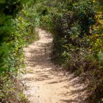 探索黑料网在GitHub上的资源与应用 grt84mk