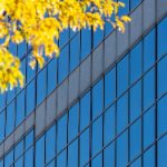 揭秘真真姐的真实姓名背后的故事 hwz820