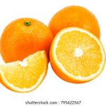 揭秘秘密探究所:探索未知世界的奇妙旅程 j4lwlf929v