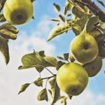 揭秘爆料网站吃瓜内幕,带你了解真相与趣闻 tljej1